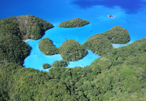 パラオ ランドパッケ－ジ受付スタ－ト