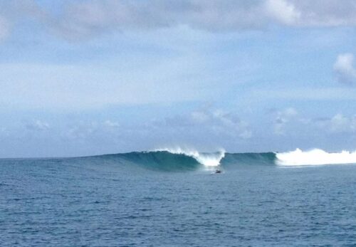 祝 ユナイテッド航空直行便就航 ミクロネシア パラオ