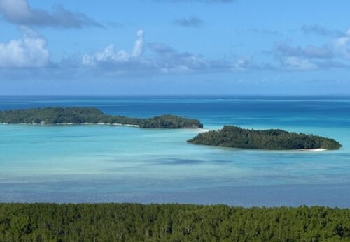 ディスカバ－ ネイチャ－ パラオ